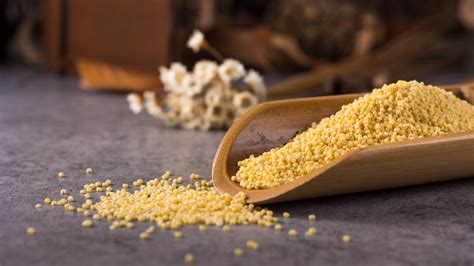 hd porso|Proso Millet Benefits and Side Effects: The Ultimate Guide